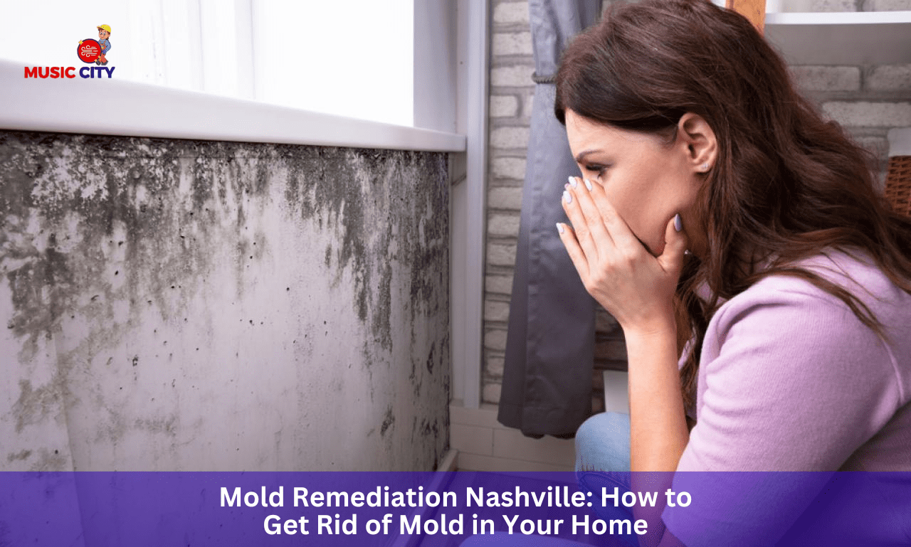 Mold Remediation Nashville How To Get Rid Of Mold In Your Home